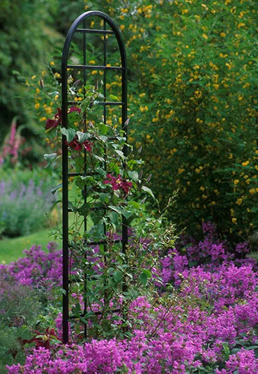 metal garden tellises 10