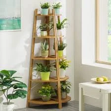Angled Shelves