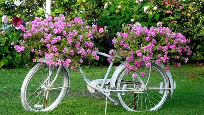 Beach Cruiser Bicycle Planter
