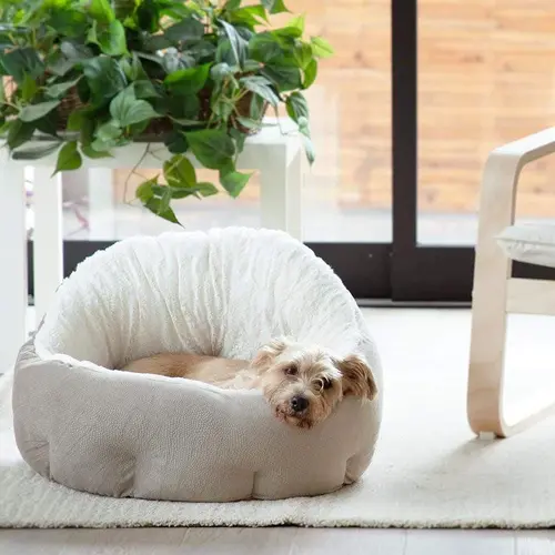 Best Friends by Sheri OrthoComfort Deep Dish Cuddler