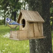 Birdhouse Kit