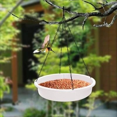  Bowl and Plate Bird Feeder