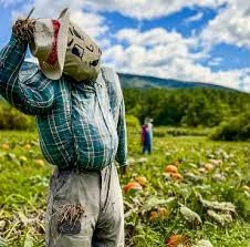 Classic Flannel Shirt Scarecrow
