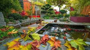 Courtyard Koi Pond