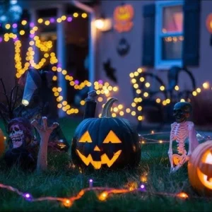 Creative Lighting & Decor for Your Fall Garden Party