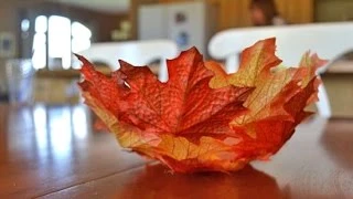 Fall Leaf Bowl