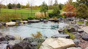 Filling Your Natural Swimming Pool