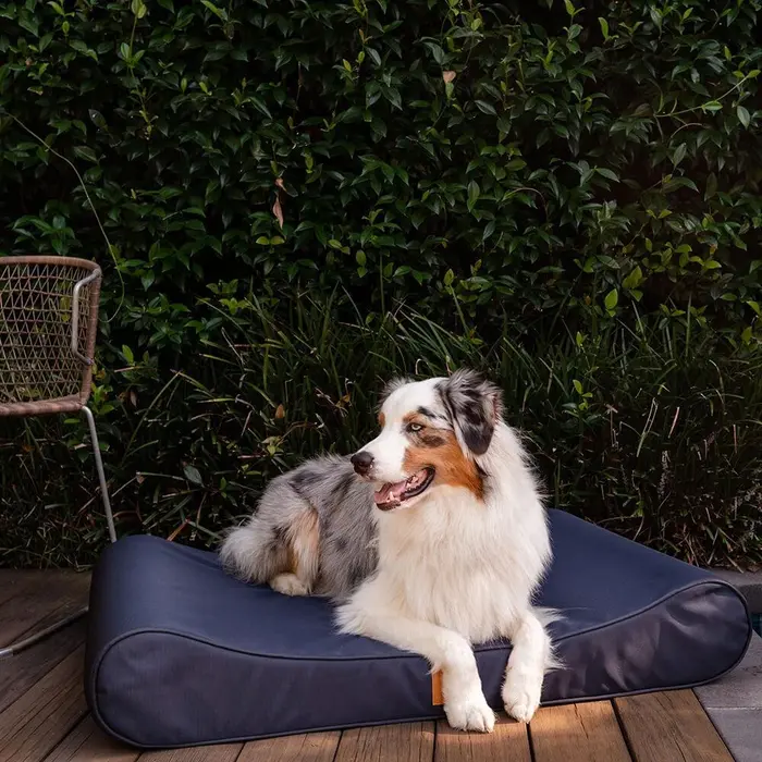 FurHaven Outdoor Lounger