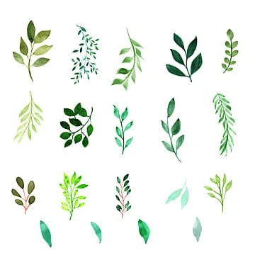 Hand-Painted Leaves