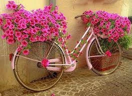 Herb Garden Bicycle Planter