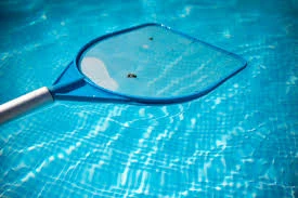 How to Combat Mosquitoes