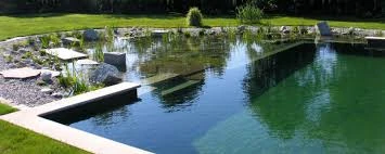 How to Design Your Natural Swimming Pool