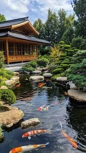 Japanese Design Koi Pond