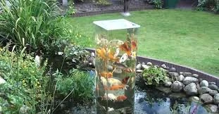Koi Pond by Stairs