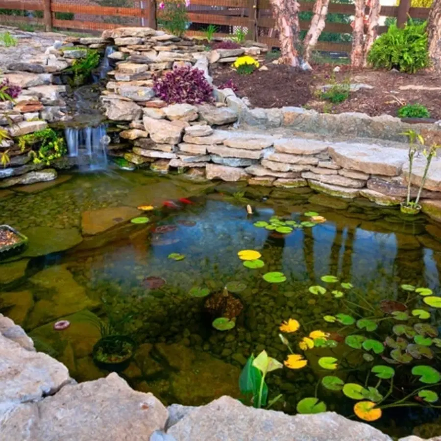 Koi Pond in a Wall