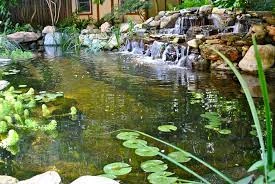 Koi Pond in a Wall