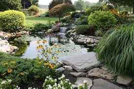 Koi Pond with Stepping Stones