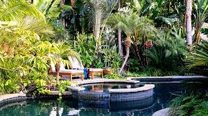 Koi Pond with Tropical Plants