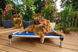 Kuranda Dog Bed