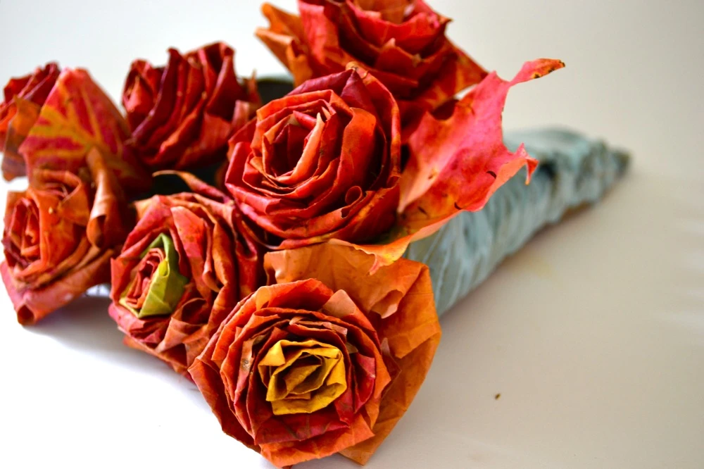 Maple Leaf Roses
