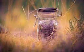Mason Jar Vases