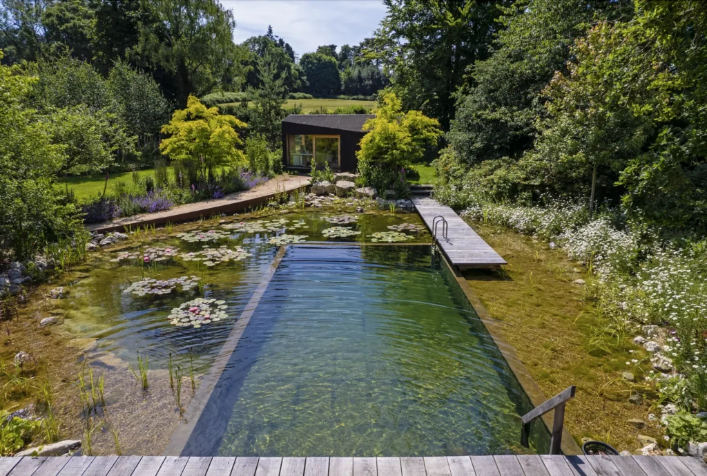 Benefits of a Natural Swimming Pond