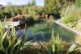 Natural Swimming Pool Construction