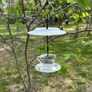 Old Music Record Bird Feeder