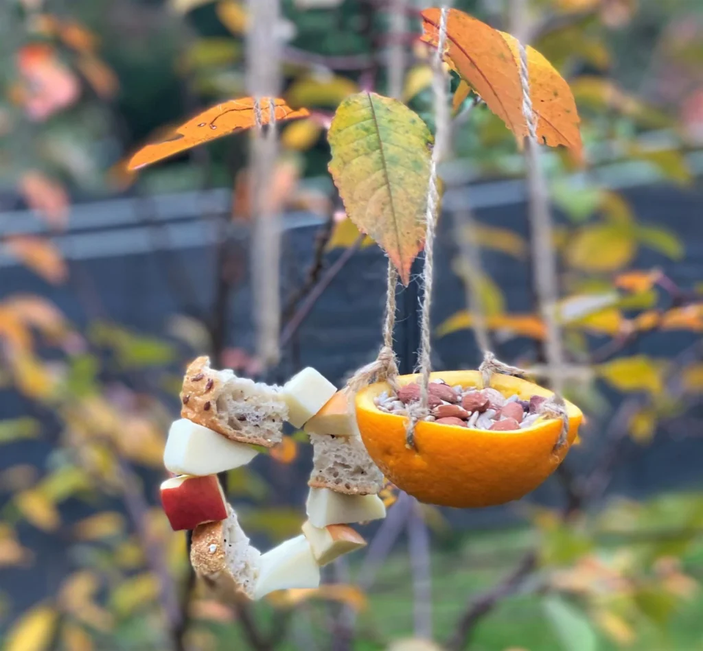Orange Peel Bird Feeder