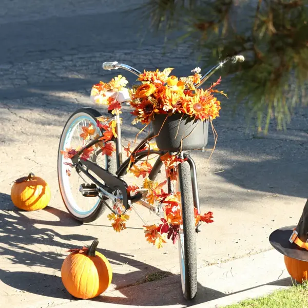 Pumpkin Bicycle Planter (Fall)