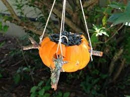 Pumpkin Bird Feeder