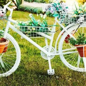 Rustic Bicycle Planter with Succulents (Summer)