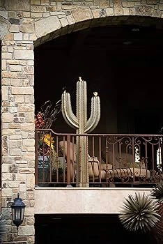 Seguero Cactus Torch Lights