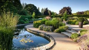 Setting up the Water Garden and Regeneration Zone