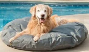 Snoozer Pet Products Dog Lounger