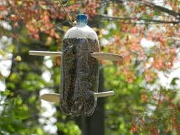 Soda Bottle Bird Feeder