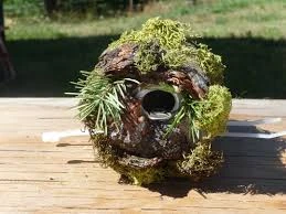 Soda Can Wren Birdhouse Plan