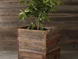 Square Planter Boxes