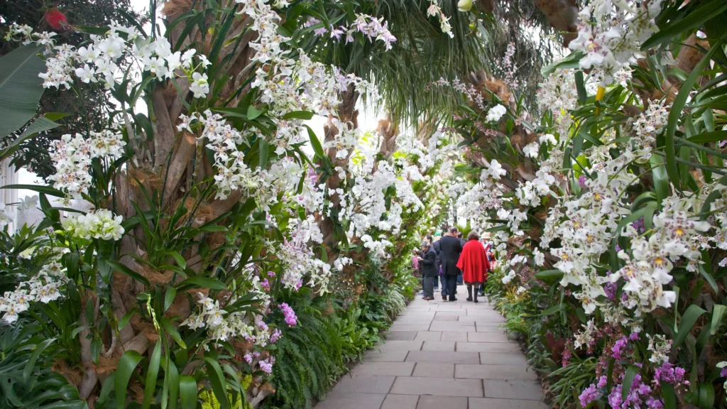 The New York Garden