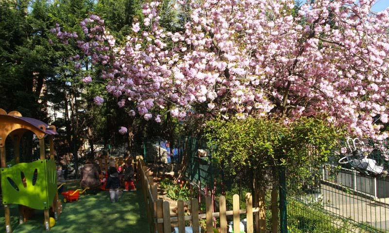 The Veolia Environment Garden