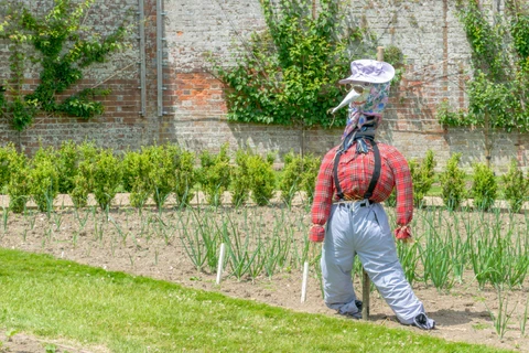 Upcycled Bottle Scarecrow