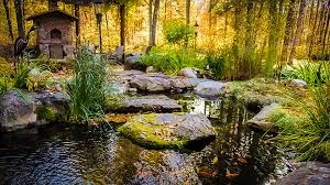 Koi Pond with Fish Elevator