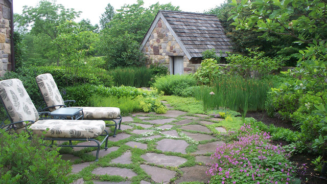 Moss Between Patio Stones