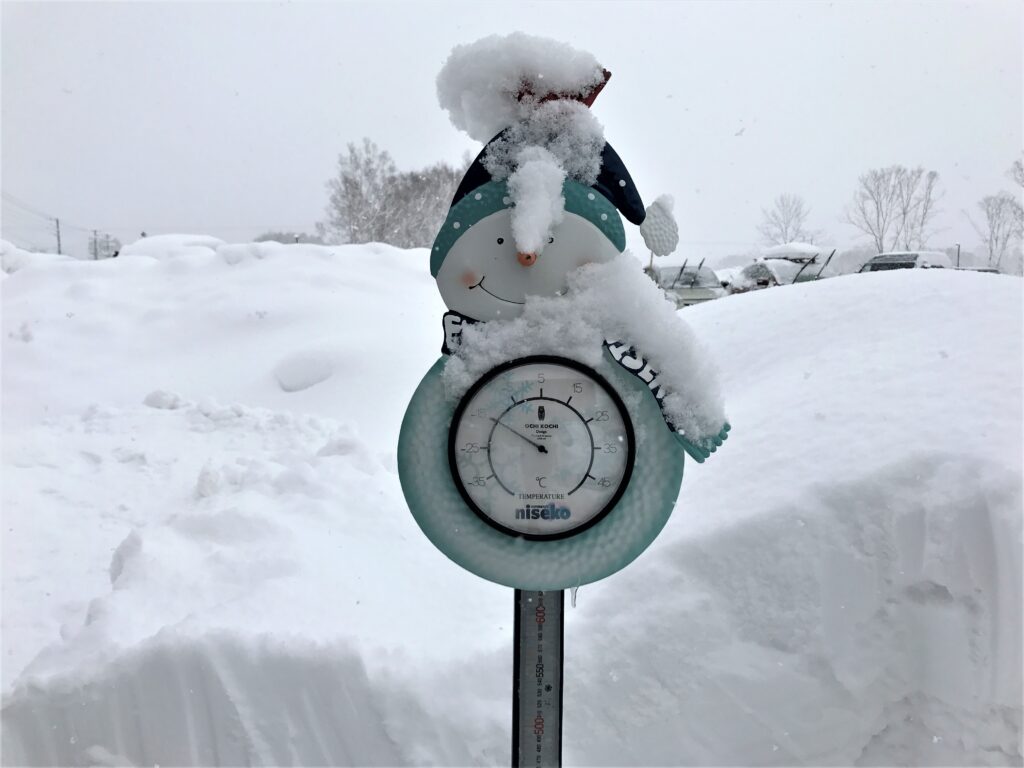 35 Real Snowman