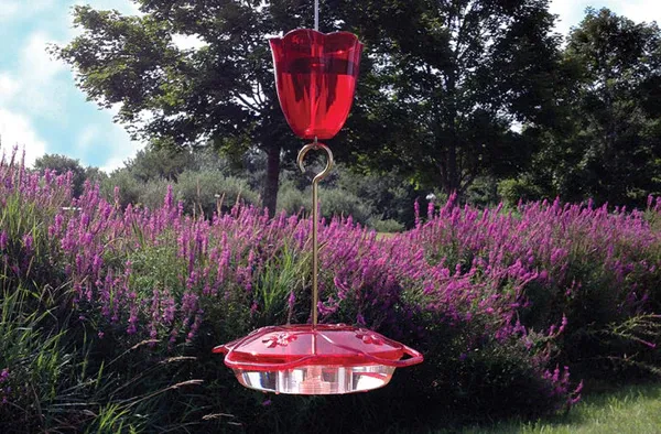 Ant & Bee-Proof Feeders