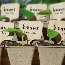 Bamboo Herb Markers