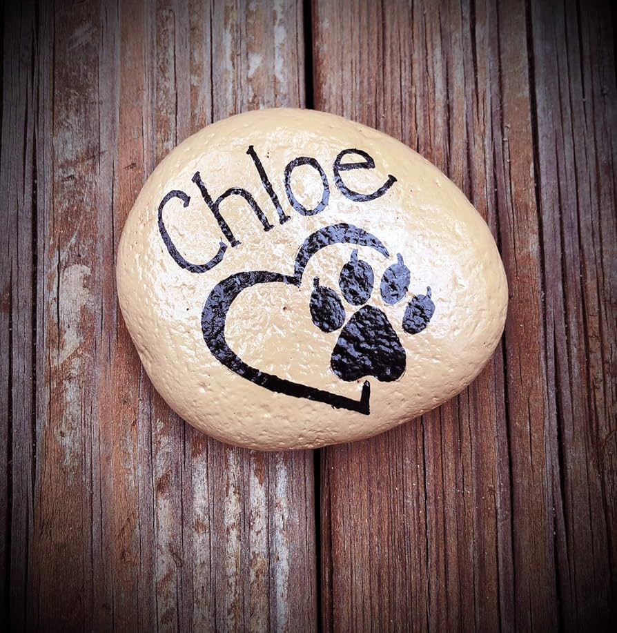 Black and White Paw Print Rocks