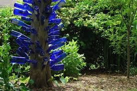 Blue Bottle Trees