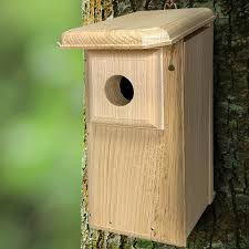 Bluebird House with Slanted Roof