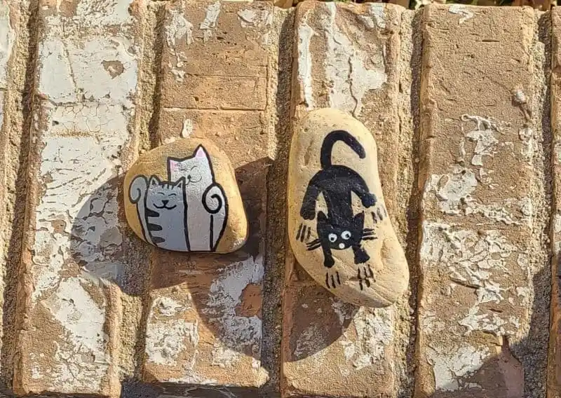 Cat Rock Painting in a Pocket